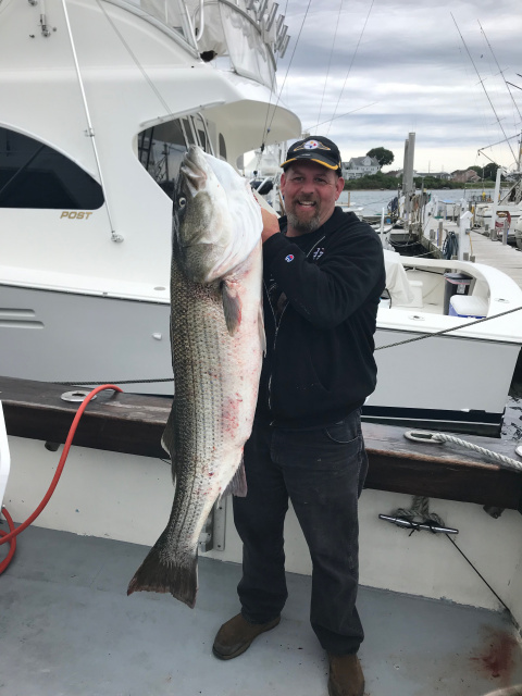 Block Island Striper